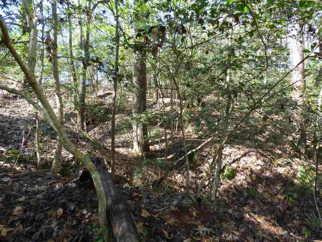 115 Forest Road Woodruff, SC 29388 - Photo 26 of 32 Gallery Image 26