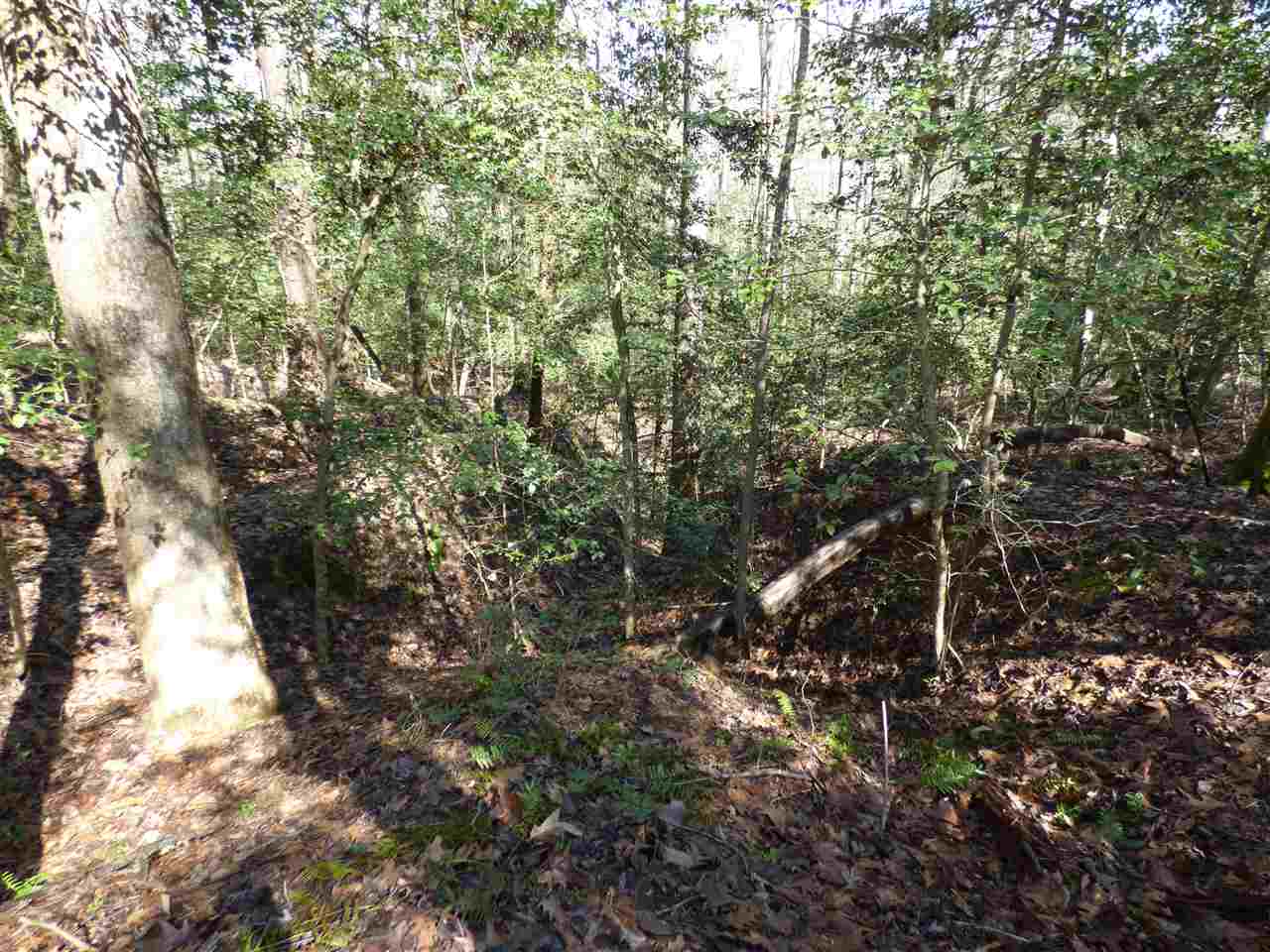 115 Forest Road Woodruff, SC 29388 - Photo 28 of 32 Gallery Image 28