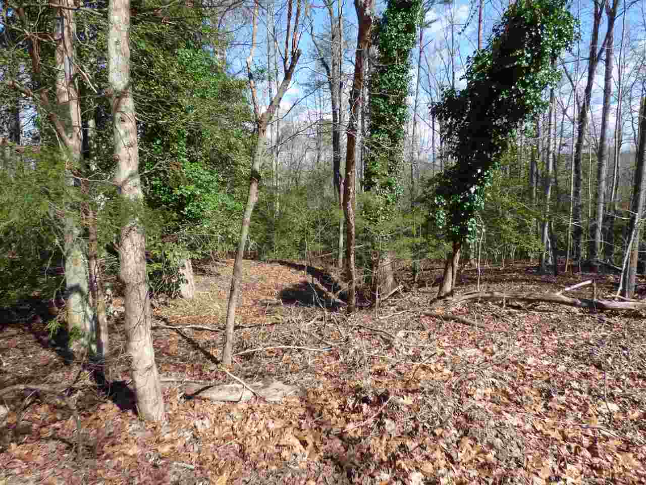 115 Forest Road Woodruff, SC 29388 - Photo 3 of 32 Gallery Image 3