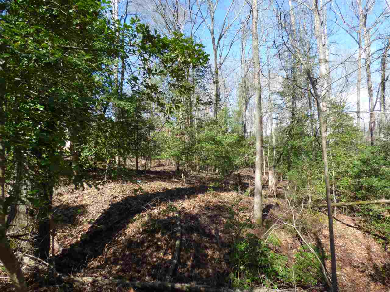 115 Forest Road Woodruff, SC 29388 - Photo 7 of 32 Gallery Image 7