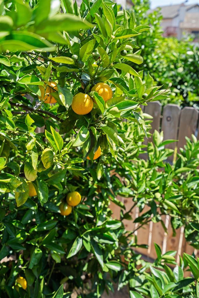 1973 Buckskin Escondido, CA 92027 - Photo 22 of 33