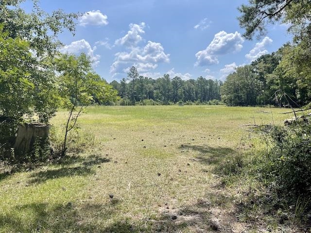 71290 Ralph Gantt Road Little River, AL 36550 - Photo 7 of 31