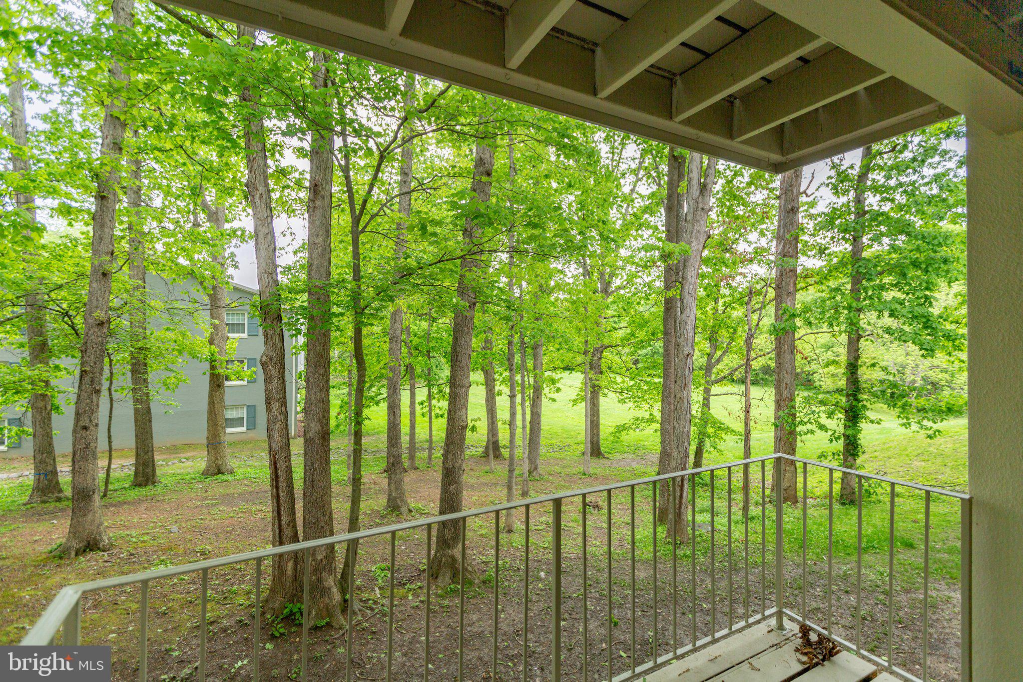 5902 Kingsford Road, Unit 406 Springfield, VA 22152 - Photo 27 of 41 Balcony View that backs to trees