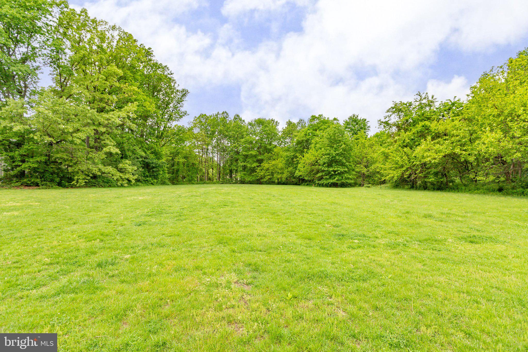 5902 Kingsford Road, Unit 406 Springfield, VA 22152 - Photo 37 of 41 Open grassland