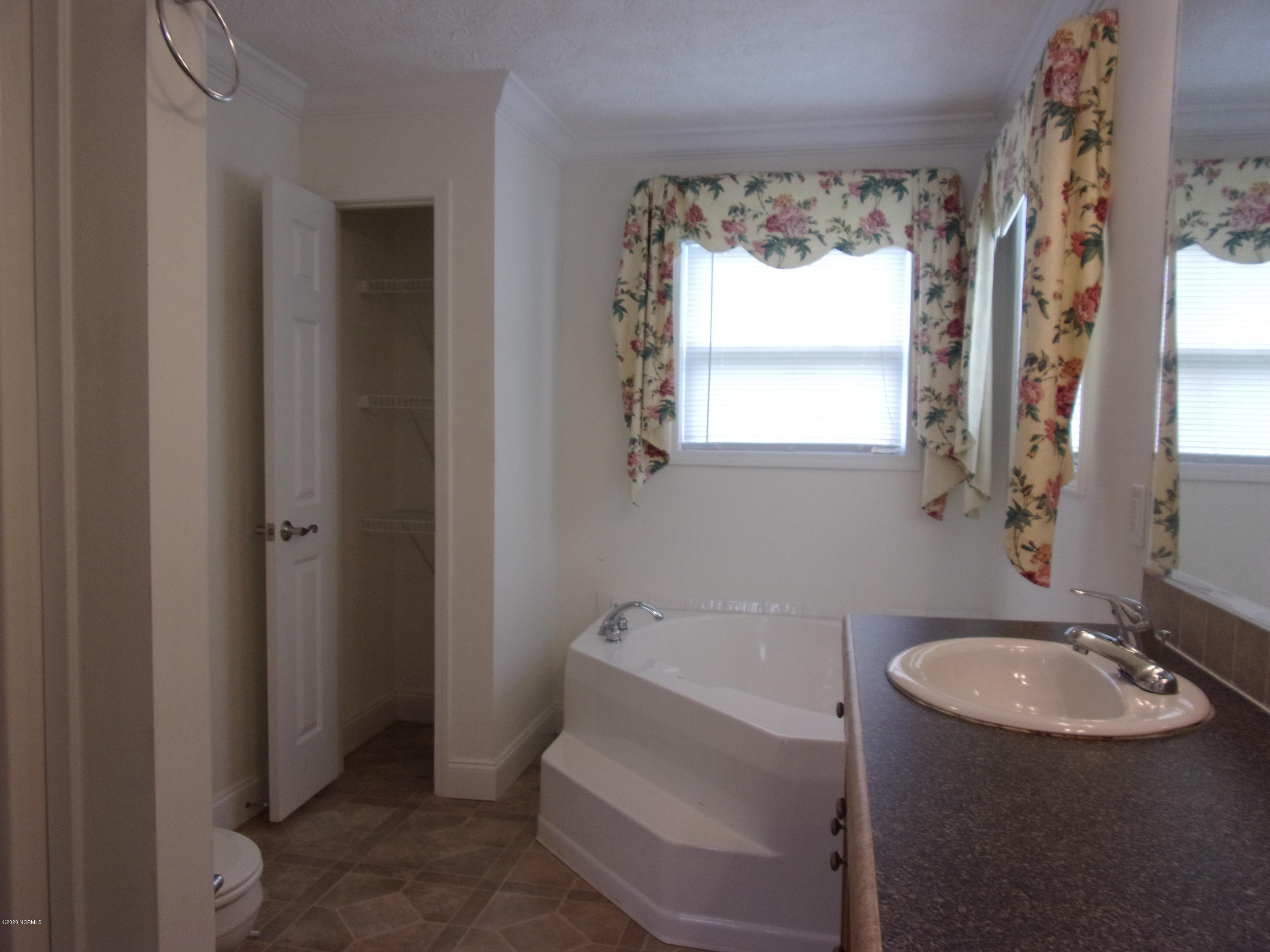 2568 Union Chapel Road Currie, NC 28435 - Photo 7 of 16 Master Bath