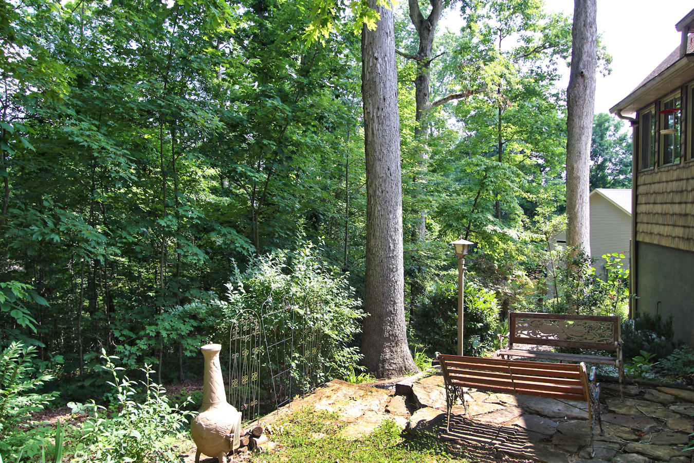215 Inata Trace Loudon, TN 37774 - Photo 37 of 39 36_Rear Patio Area 2