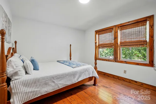 a view of a tree in the middle of a yard