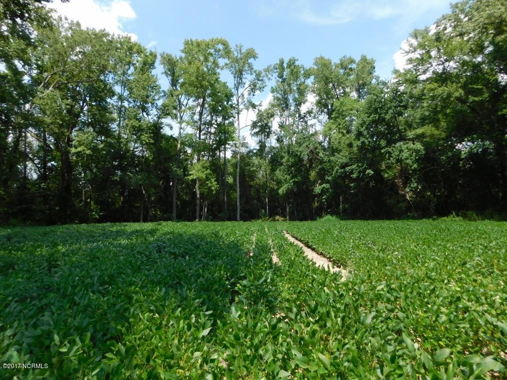 128.25 Ac Off Alton Road Lucama, NC 27851 - Photo 35 of 48 31 (1024x768)