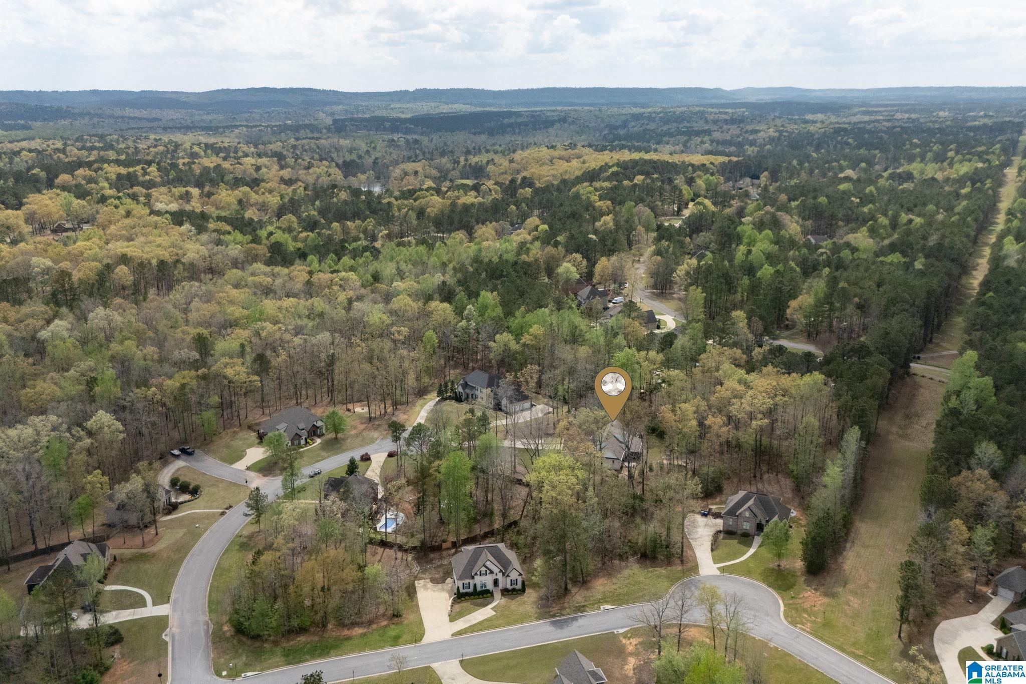 441 South Highland Ridge Lane Chelsea, AL 35043 - Photo 71 of 74