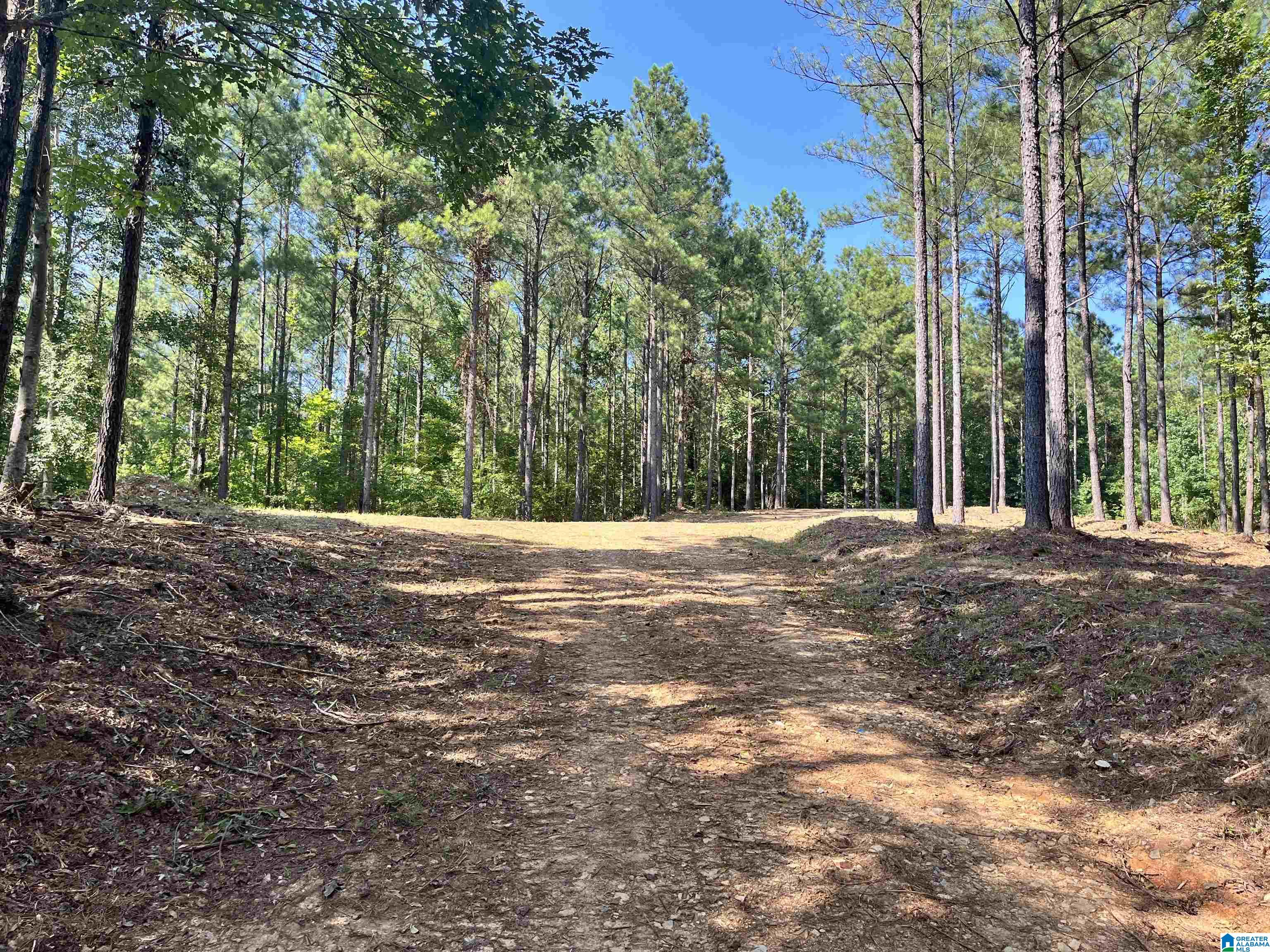 780 Sweet Apple Road, Unit TRACT 4 Pell City, AL 35128 - Photo 7 of 8
