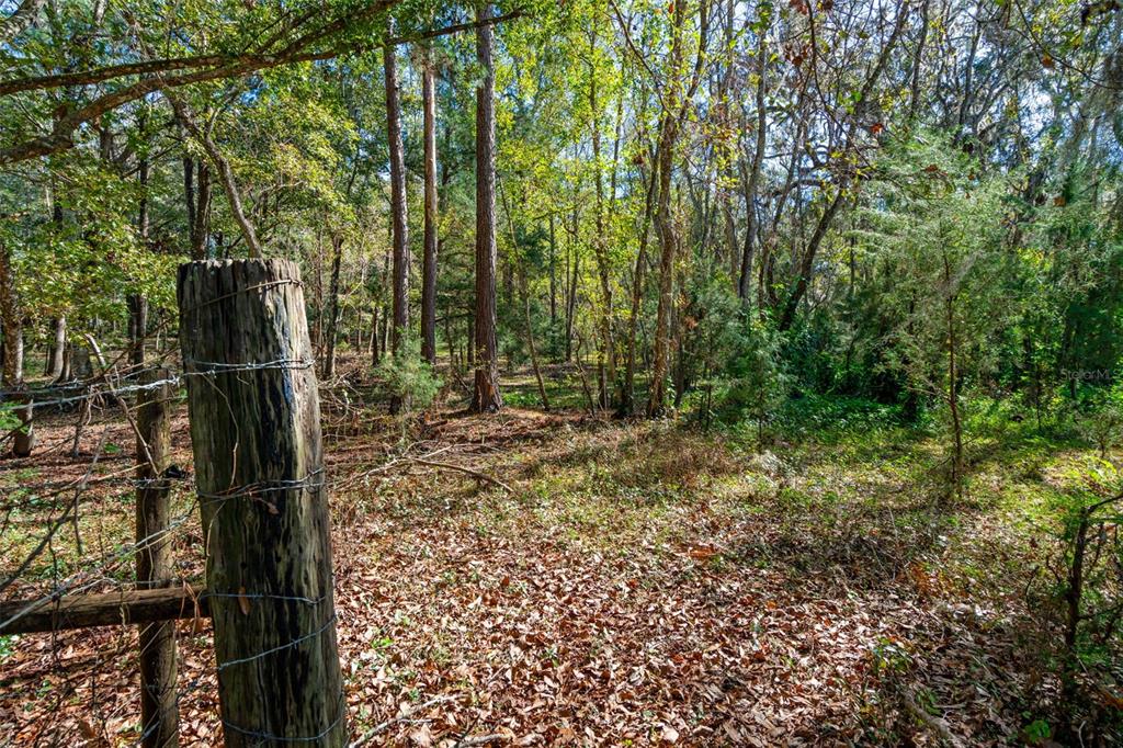 22325 Whitman Road Brooksville, FL 34601 - Photo 28 of 30 Gallery Image 28