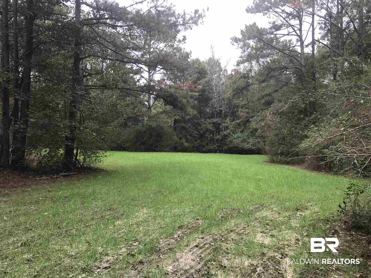 1478 Ridge Road Greenville, AL 36037 - Photo 43 of 50