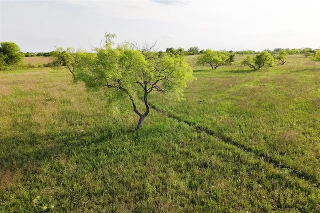 a view of a lake with a mountain in the background