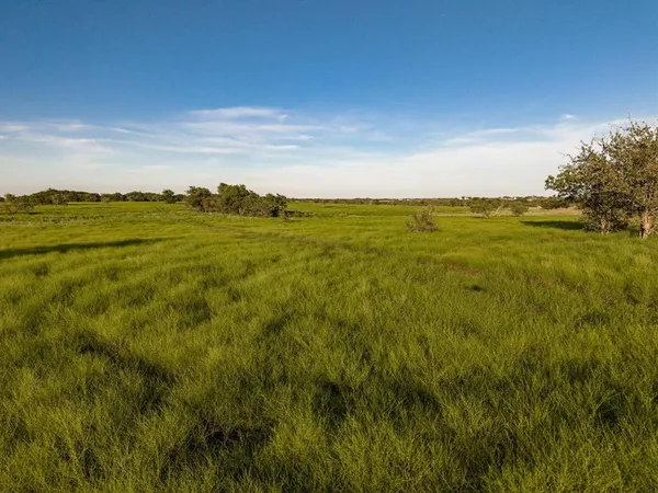 a view of an ocean from a yard