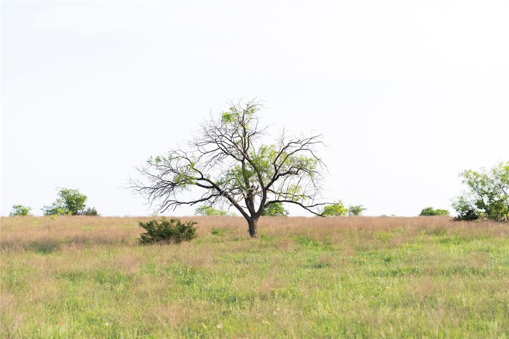Tbd Rattler Hill Road McGregor, TX 76657 - Photo 6 of 18 a view of a garden