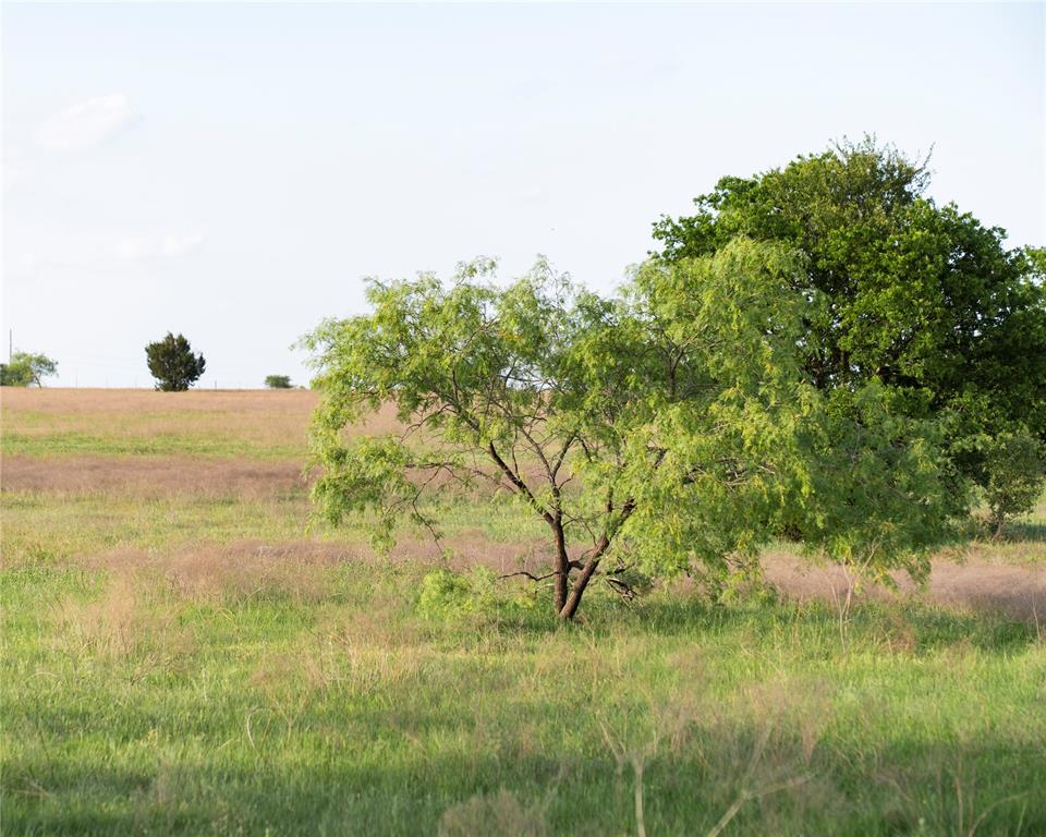 Tbd Rattler Hill Road McGregor, TX 76657 - Photo 7 of 18 a view of ocean view