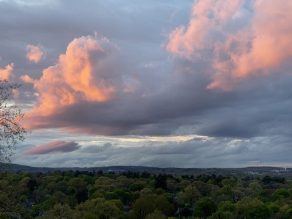 175 Mt Vernon Street Newton, MA 02465 - Photo 20 of 21 a view of a city