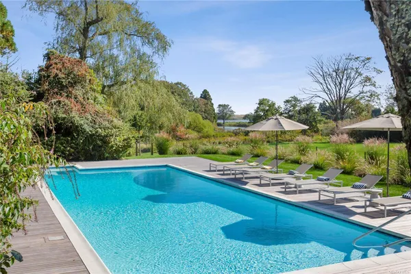 a view of a swimming pool and lounge chair