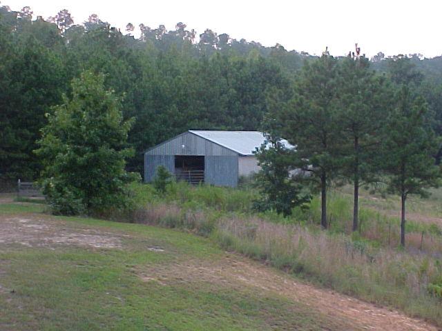 1-399 Kendrick Road Eldridge, AL 35554 - Photo 2 of 16 Gallery Image 2