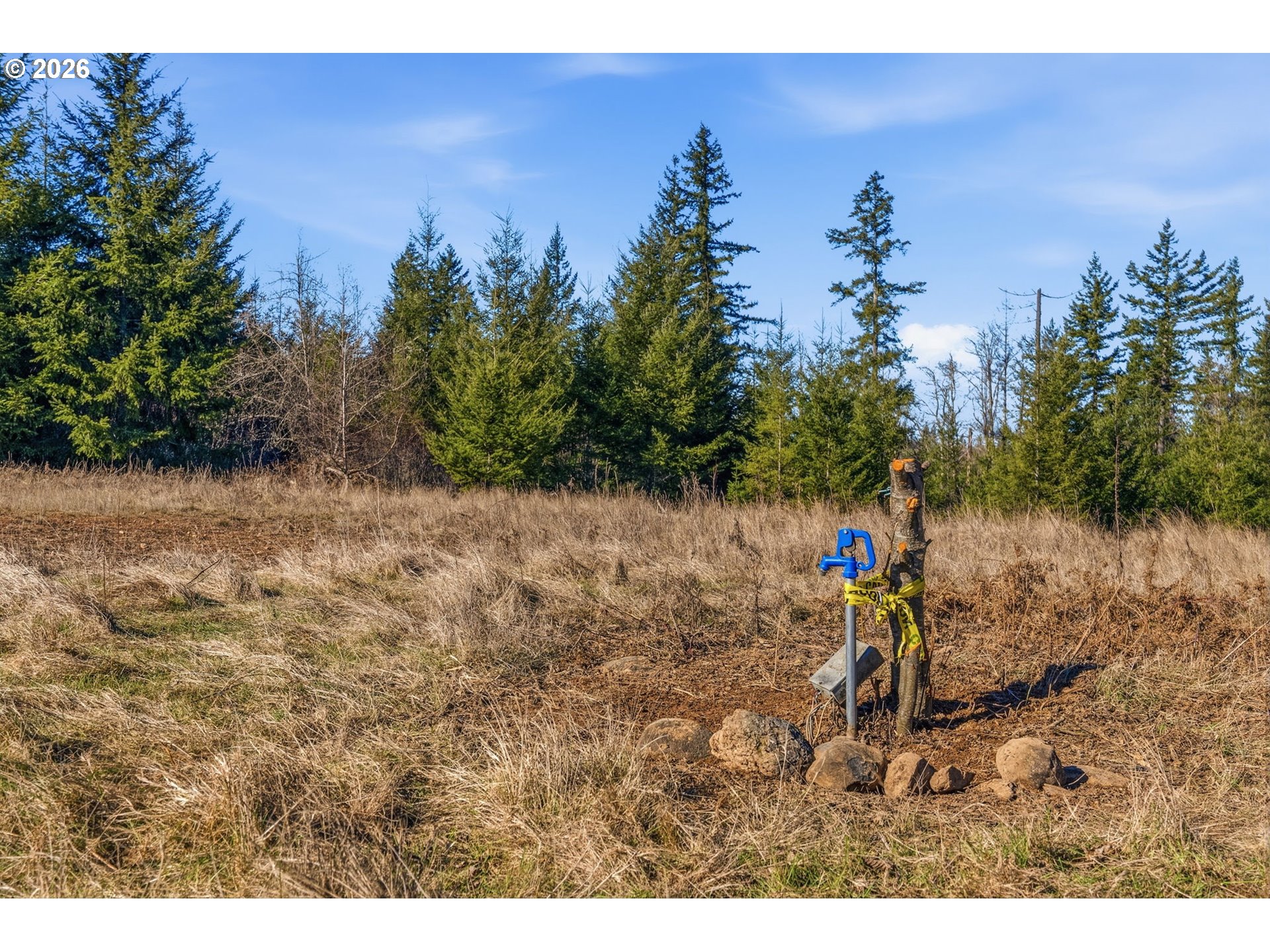 22310 Northeast Dole Valley Road Yacolt, WA 98675 - Photo 6 of 18