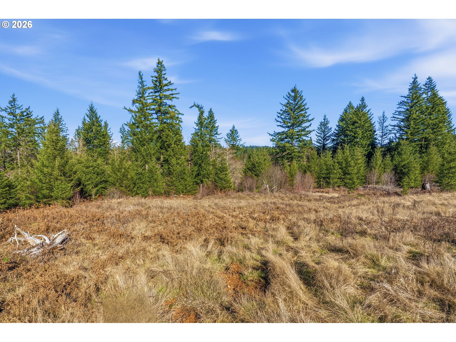 22310 Northeast Dole Valley Road Yacolt, WA 98675 - Photo 8 of 18