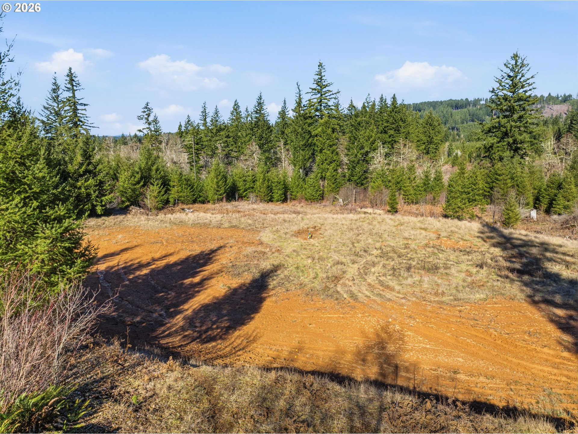 22310 Northeast Dole Valley Road Yacolt, WA 98675 - Photo 10 of 18