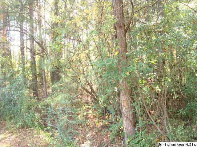 Fitzgerald Road, Unit 19 Oxford, AL 36203 - Photo 3 of 21 Gallery Image 3