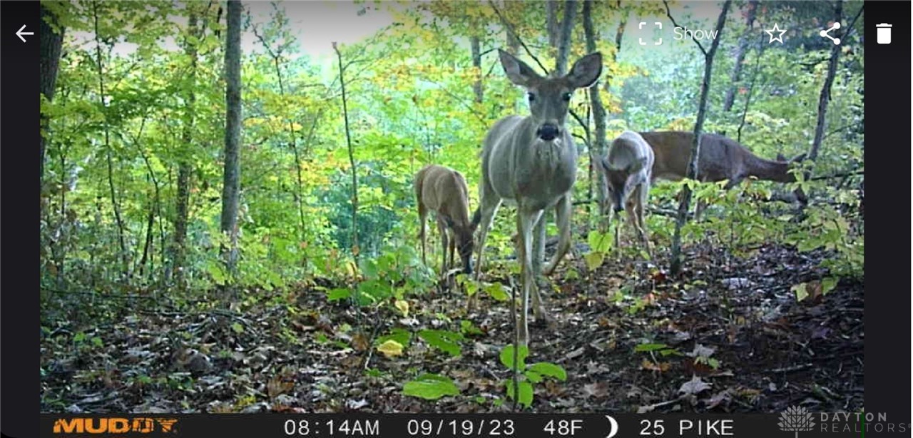 0 Bailey Chapel Road Beaver, OH 45613 - Photo 9 of 10