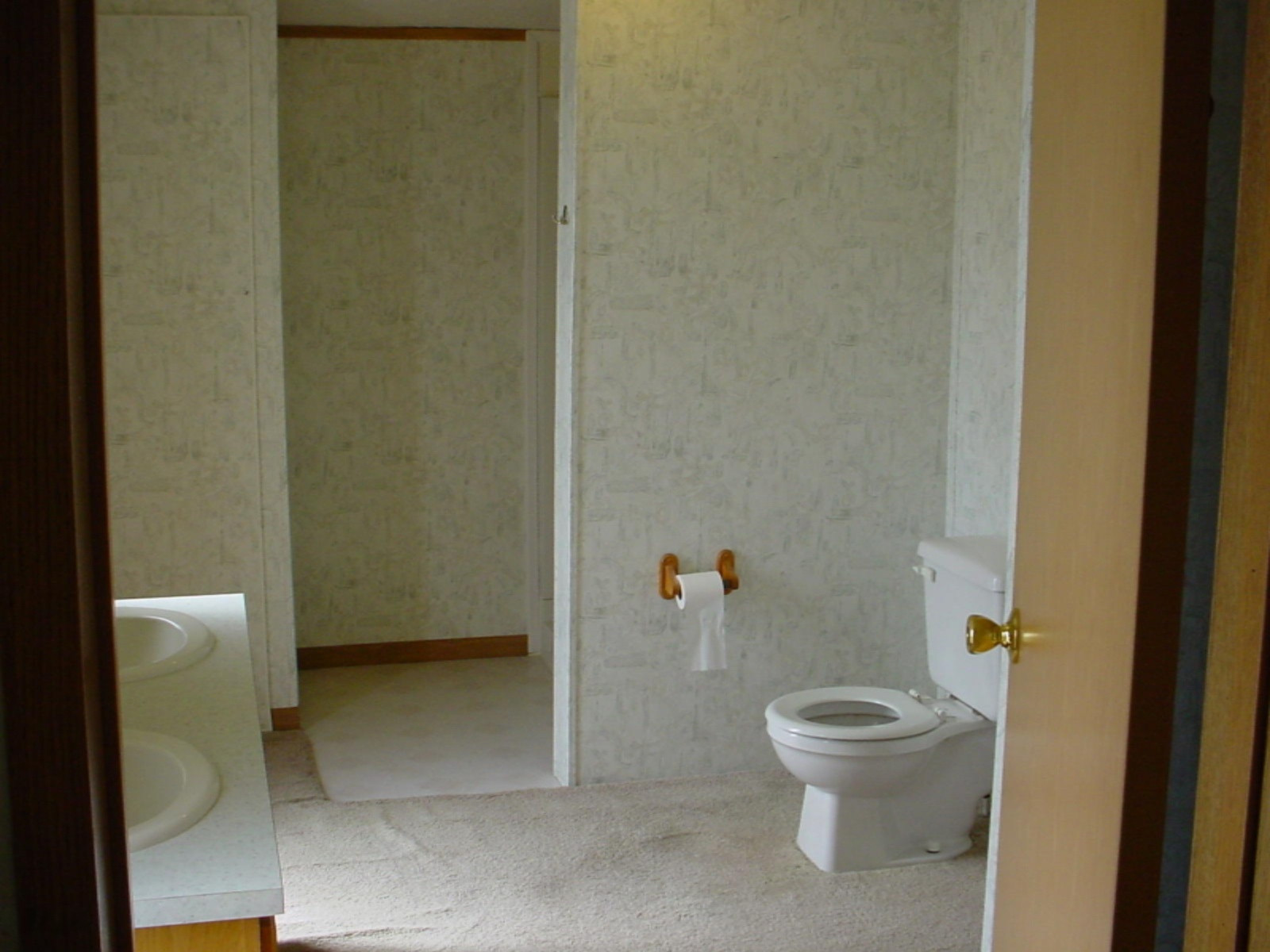 19559 Yankee Road Howard City, MI 49329 - Photo 14 of 29 DSC00270