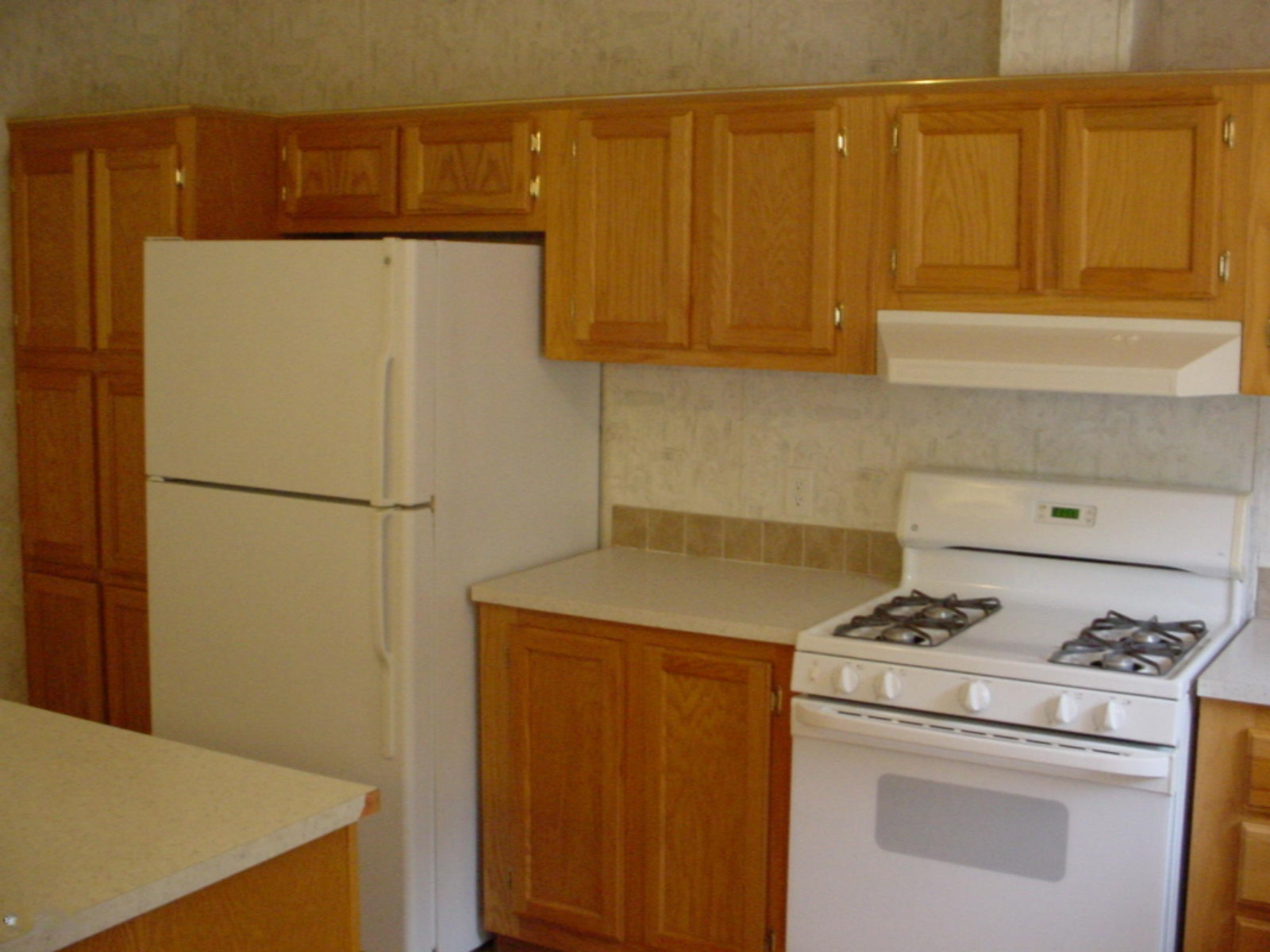 19559 Yankee Road Howard City, MI 49329 - Photo 20 of 29 DSC00276