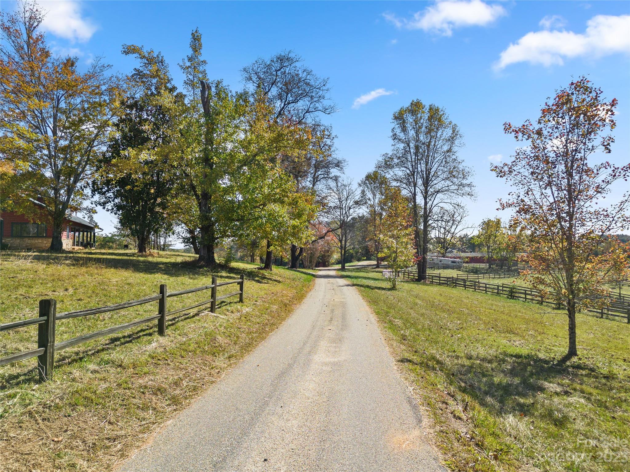 1642 Smith Waldrop Road Columbus, NC 28722 - Photo 6 of 37