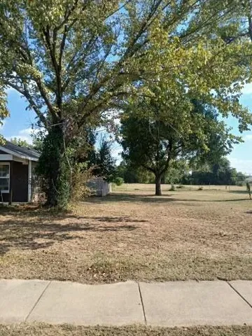 a view of a yard with a tree