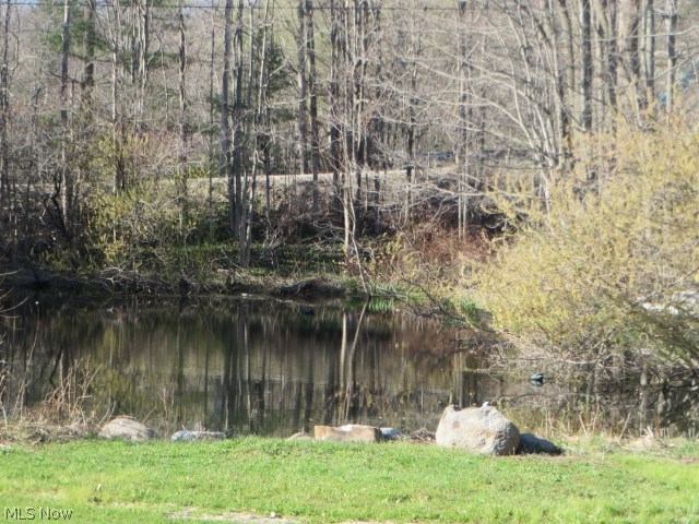 3322 Shaffer Road Rock Creek, OH 44084 - Photo 22 of 24 Gallery Image 22