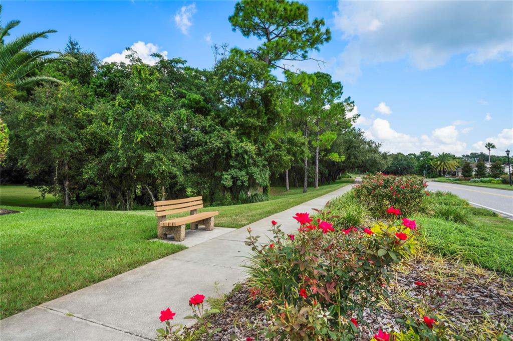11408 Deercroft Court Spring Hill, FL 34609 - Photo 55 of 57