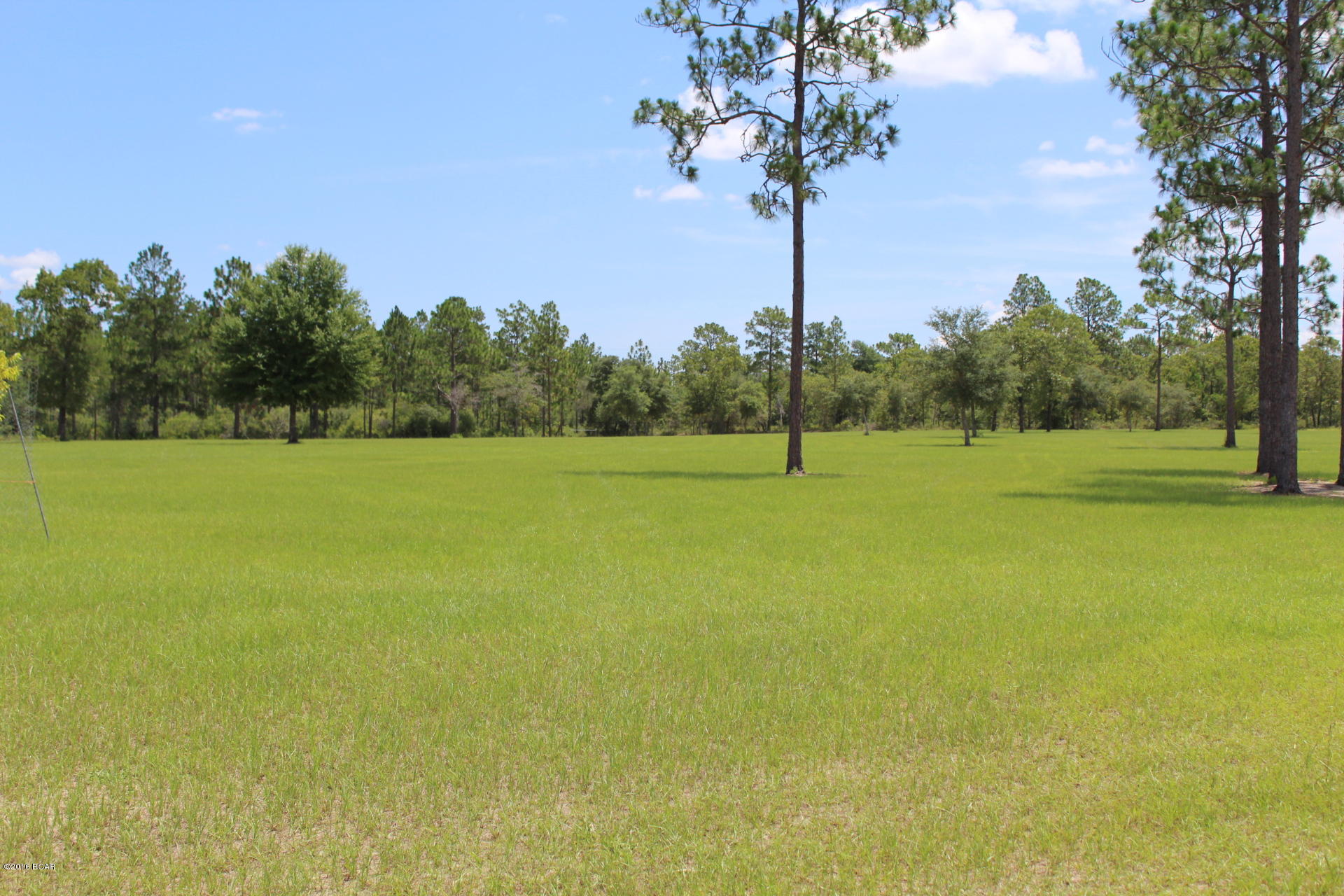 21450 Northwest Sandy Acres Road Altha, FL 32421 - Photo 25 of 25 Gallery Image 25