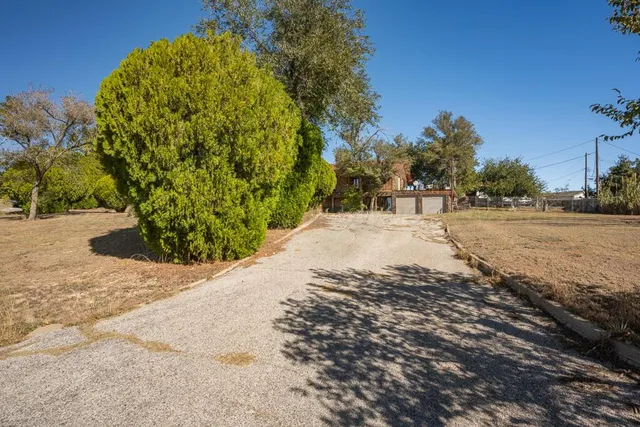 a view of a garden with a pathway