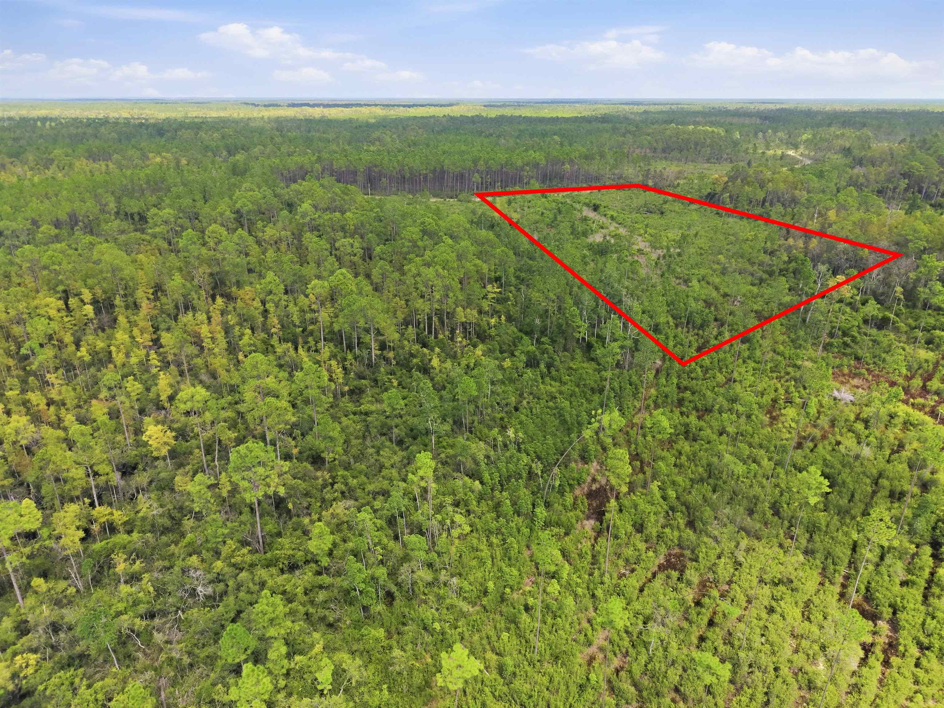 76 Circle Block Loop Perry, FL 32347 - Photo 16 of 21 Gallery Image 16