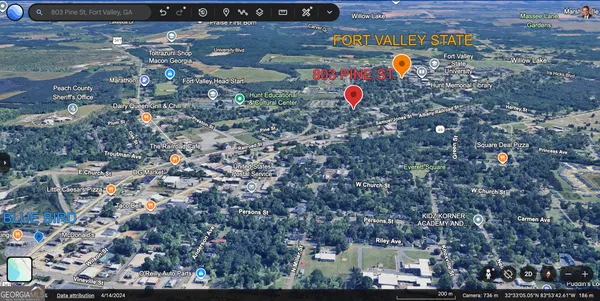 a view of a tree with a park