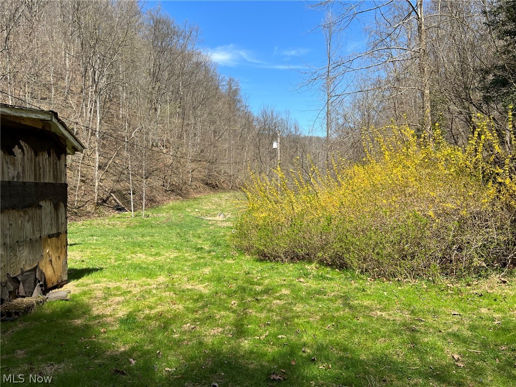 729 Deaden Run Road Gassaway, WV 26624 - Photo 22 of 23 Gallery Image 22