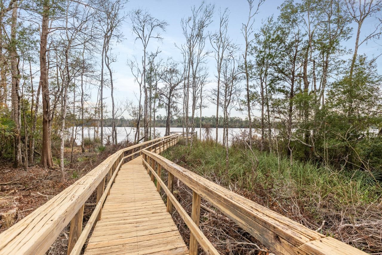 29 Gibson Road Sopchoppy, FL 32358 - Photo 31 of 58