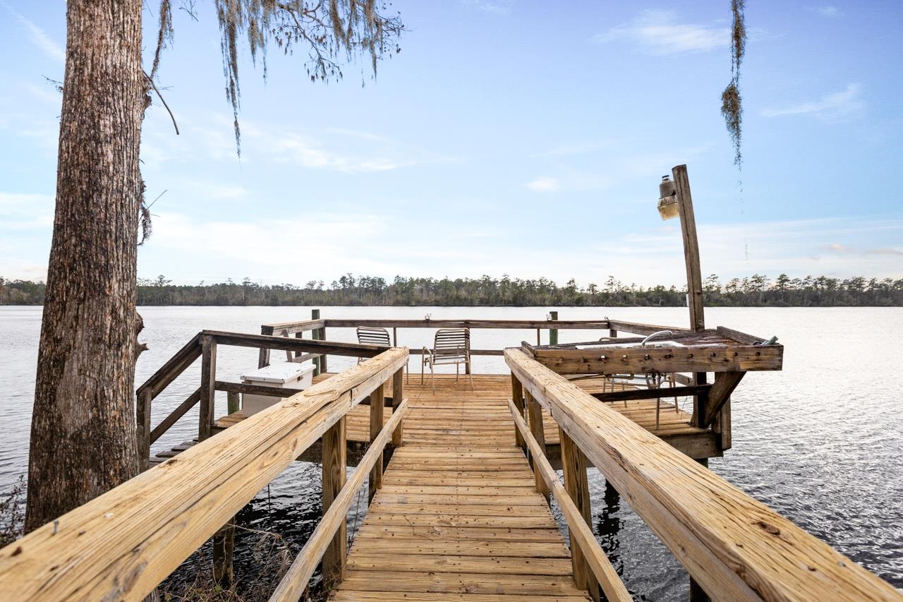 29 Gibson Road Sopchoppy, FL 32358 - Photo 32 of 58