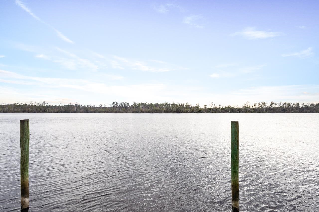 29 Gibson Road Sopchoppy, FL 32358 - Photo 33 of 58