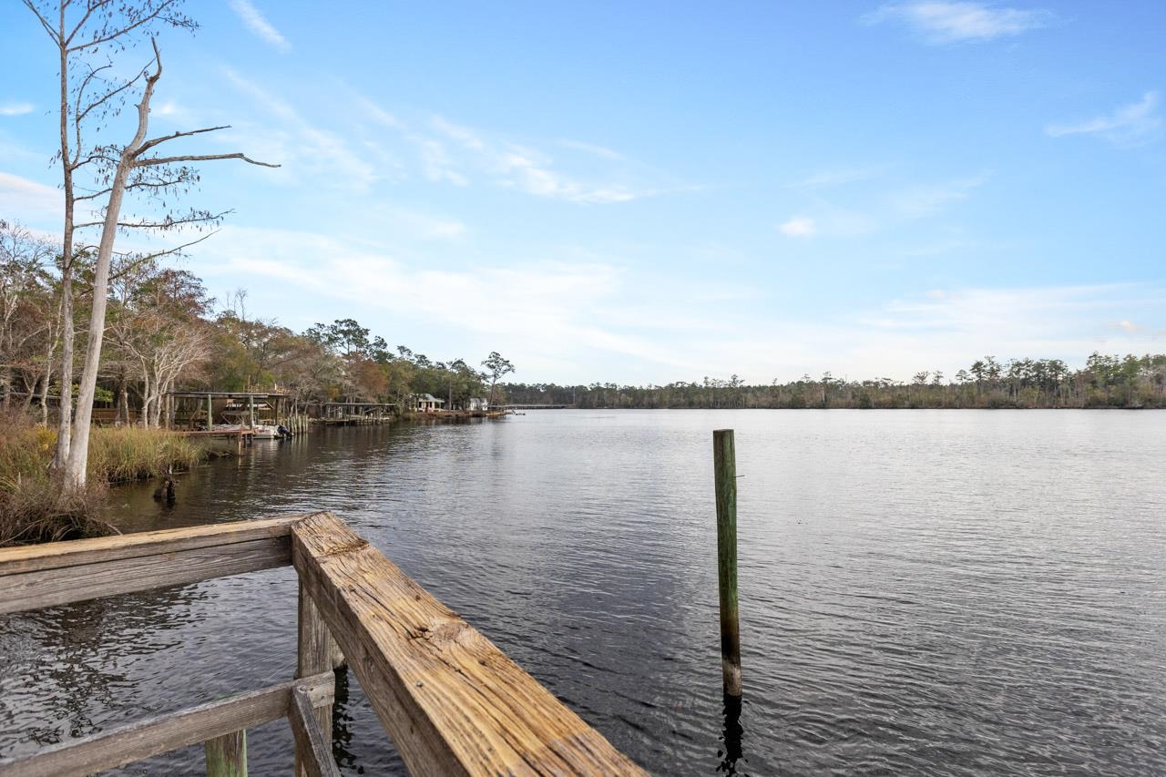 29 Gibson Road Sopchoppy, FL 32358 - Photo 35 of 58