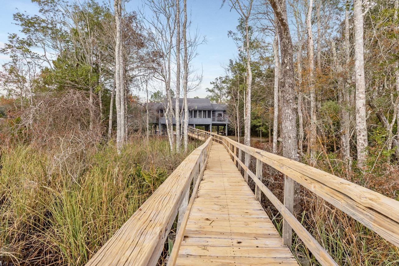 29 Gibson Road Sopchoppy, FL 32358 - Photo 36 of 58