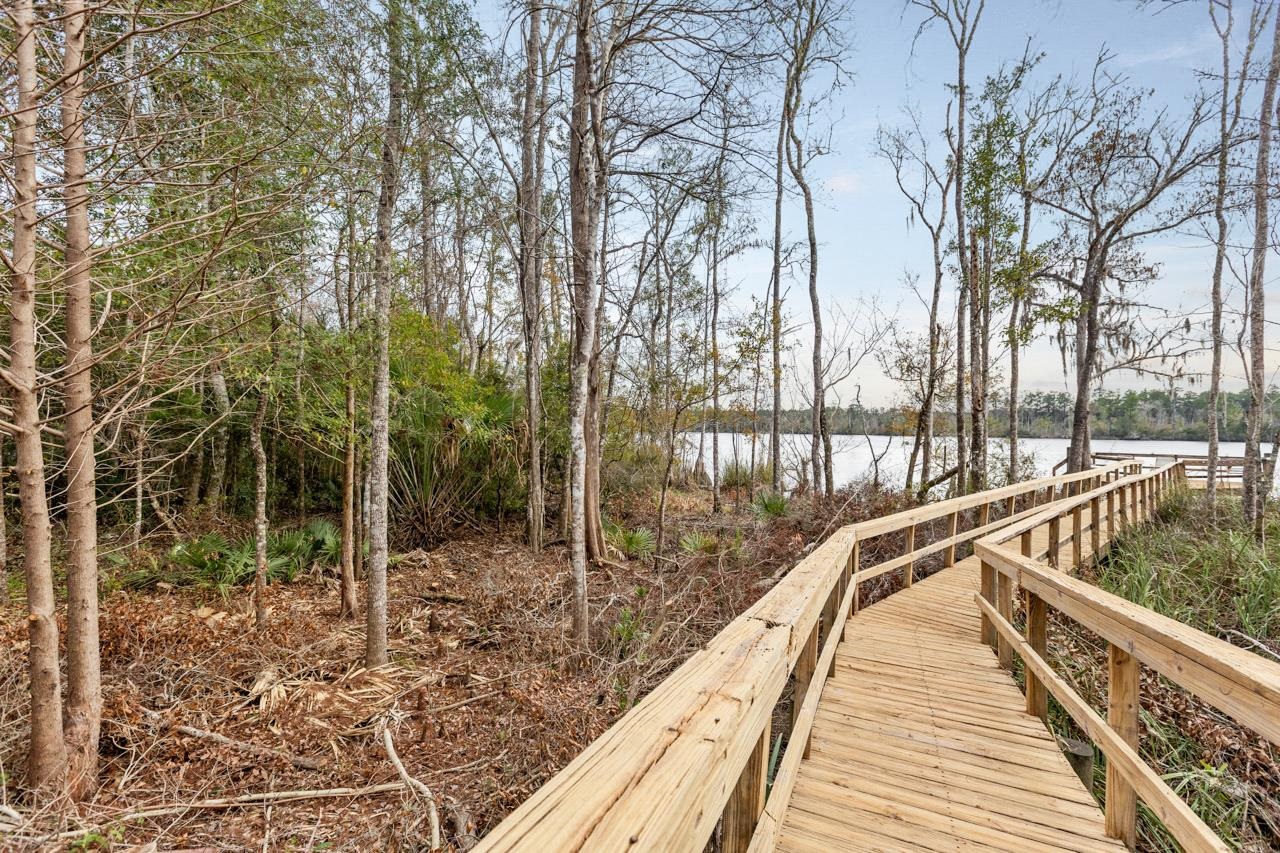 29 Gibson Road Sopchoppy, FL 32358 - Photo 39 of 58