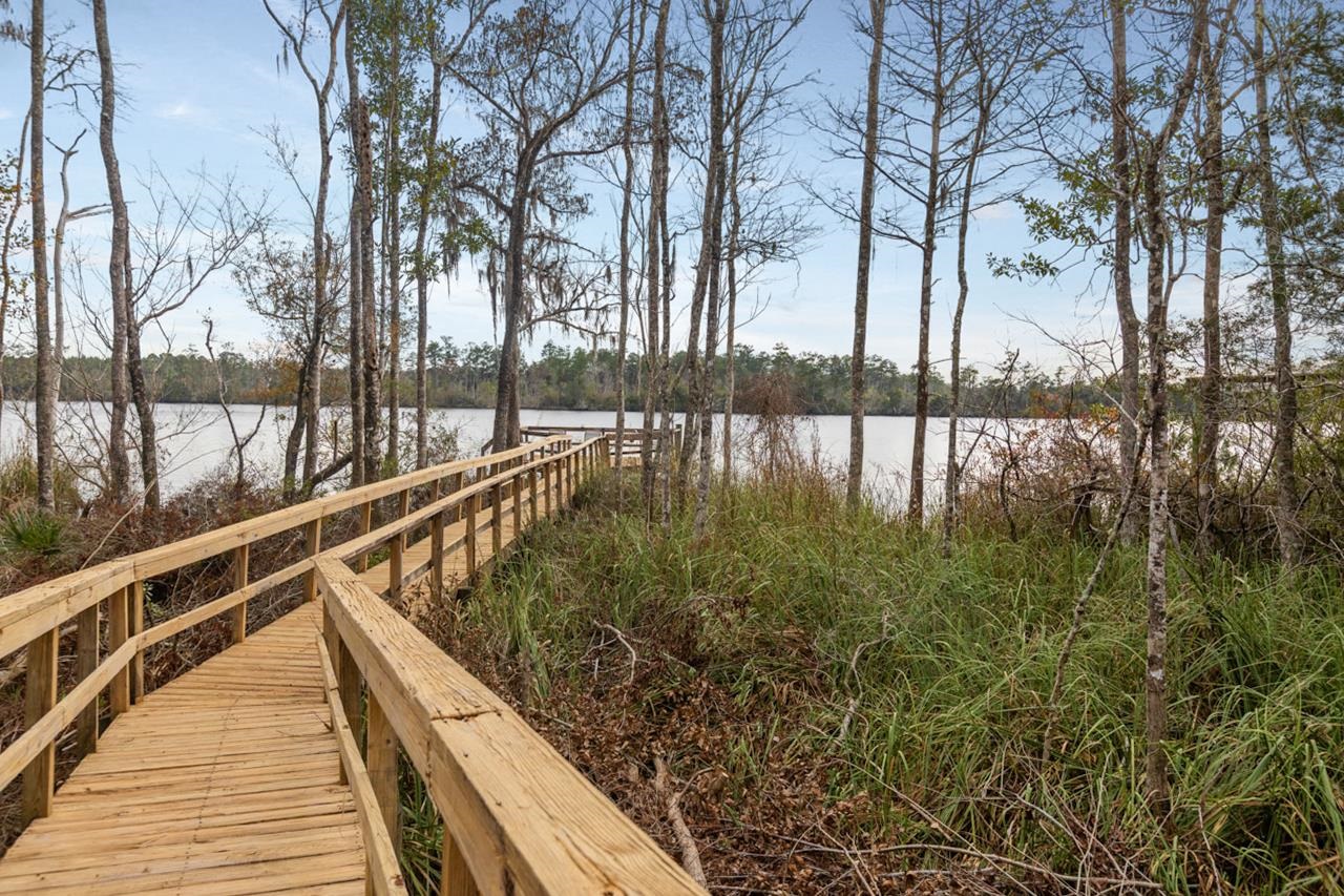 29 Gibson Road Sopchoppy, FL 32358 - Photo 40 of 58