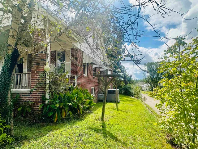 a view of a backyard with plants and large tree