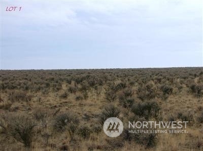 1 Eagle Springs Ranch Marlin, WA 98832 - Photo 1 of 2 Gallery Image 1