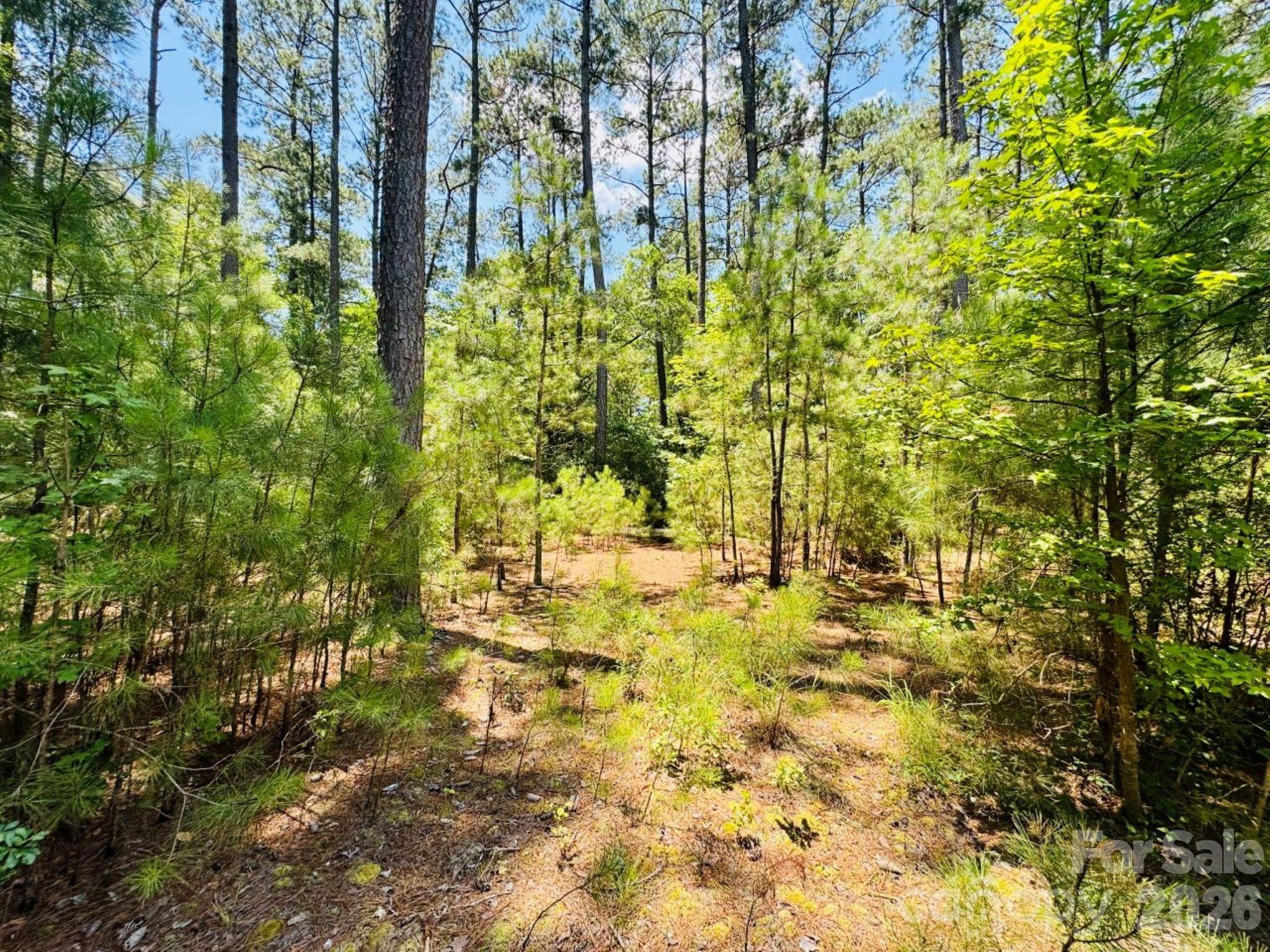 5326 Judson Road Clio, SC 29525 - Photo 18 of 29