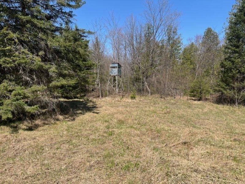 00 Camp 23 Road Germfask, MI 49836 - Photo 14 of 16